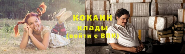 хмурый Гатчина