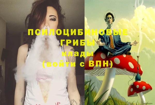 крисы Алзамай