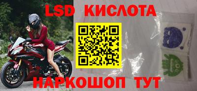 прущие грибы Рыбинск