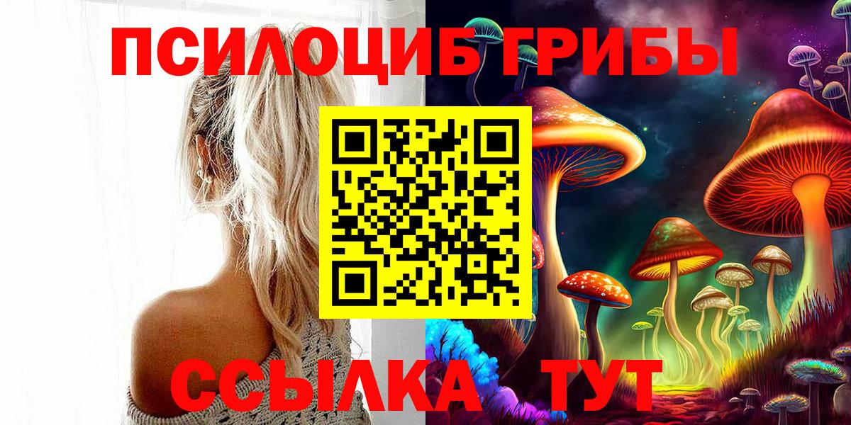 Галлюциногенные грибы GOLDEN TEACHER Дальнереченск